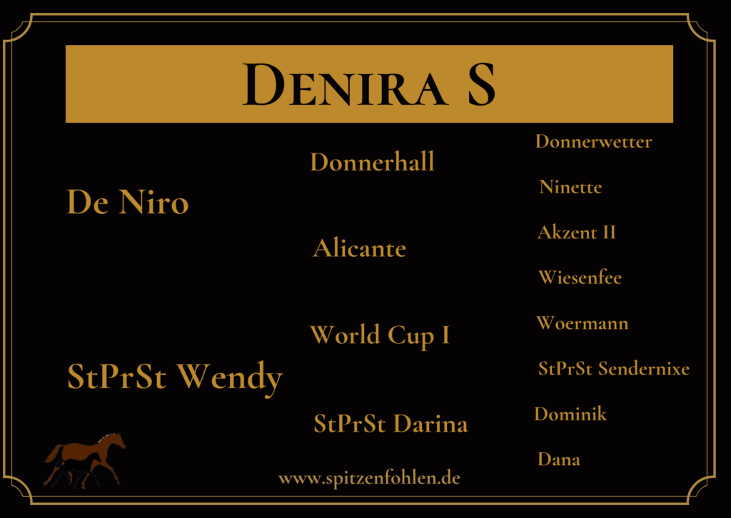 Mare by De Niro x World Cup I